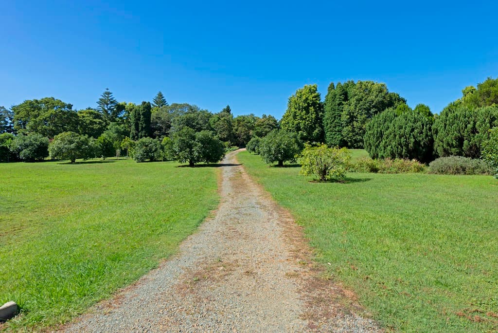 69-75 Wilson Road, Tamborine Mountain, QLD, 4272, Tamborine Mountain - Thumbnail 5