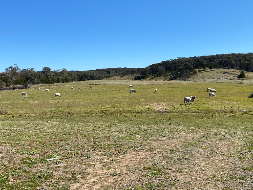 974 Jerrara Road, Marulan, NSW, 2579, Marulan - Image 1