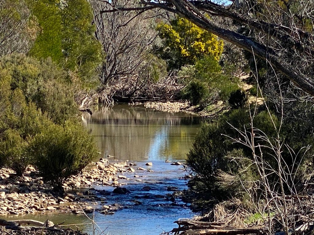 974 Jerrara Road, Marulan, NSW, 2579, Marulan - Thumbnail 3