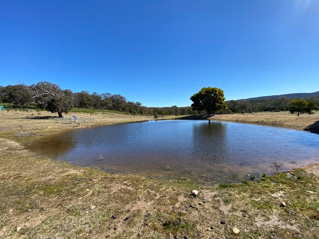 974 Jerrara Road, Marulan, NSW, 2579, Marulan - Thumbnail 4