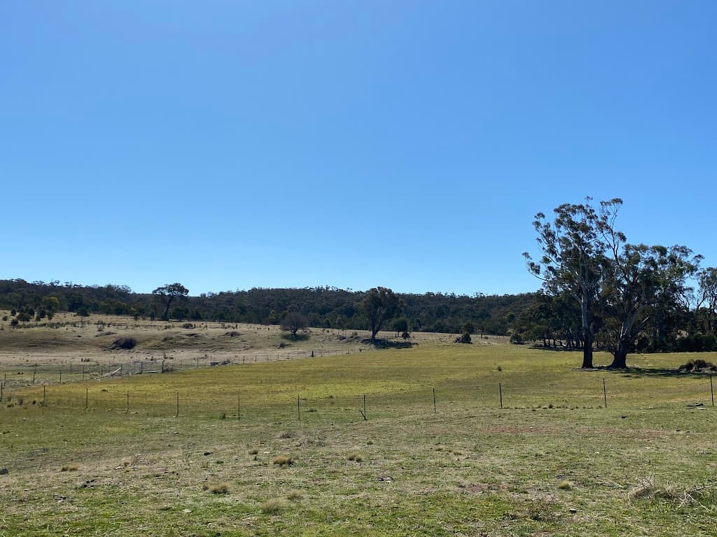 974 Jerrara Road, Marulan, NSW, 2579, Marulan - Thumbnail 5