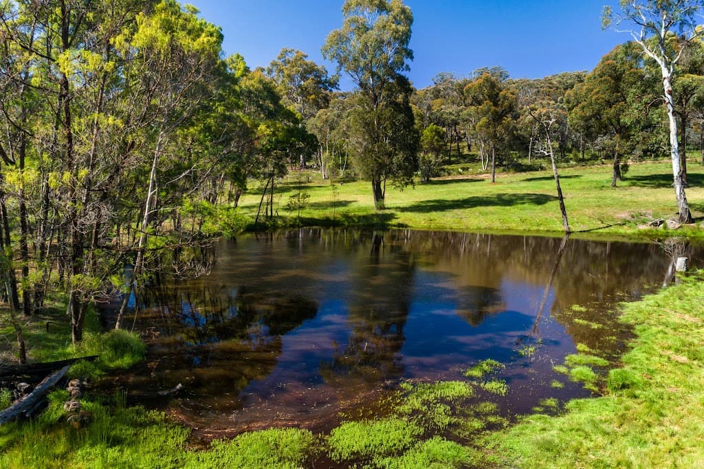 361 Red Hills Road, Marulan, NSW, 2579, Marulan - Thumbnail 3