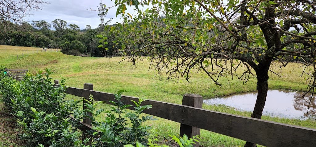 157 Gum Scrub Road, Gum Scrub - Thumbnail 2