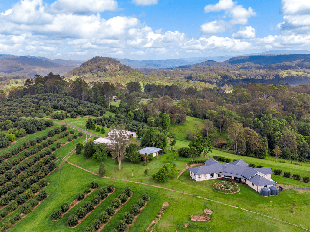 364 Gwynne Road, Georgica, NSW, 2480, Georgica - Image 1