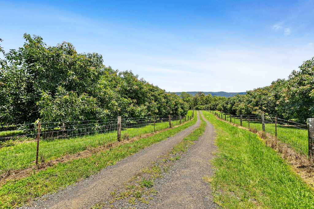 364 Gwynne Road, Georgica, NSW, 2480, Georgica - Thumbnail 4