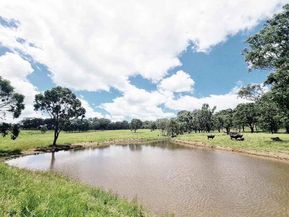 lot/116 Cronin Road, Cabarlah, QLD, 4352, Cabarlah - Image 1