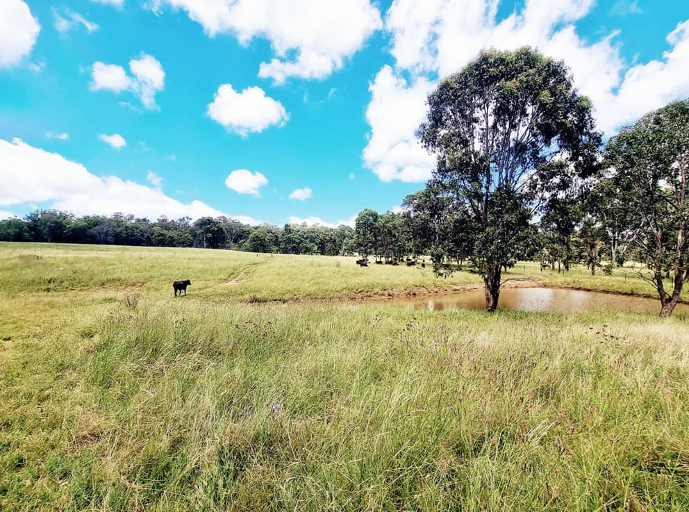 lot/116 Cronin Road, Cabarlah, QLD, 4352, Cabarlah - Thumbnail 2