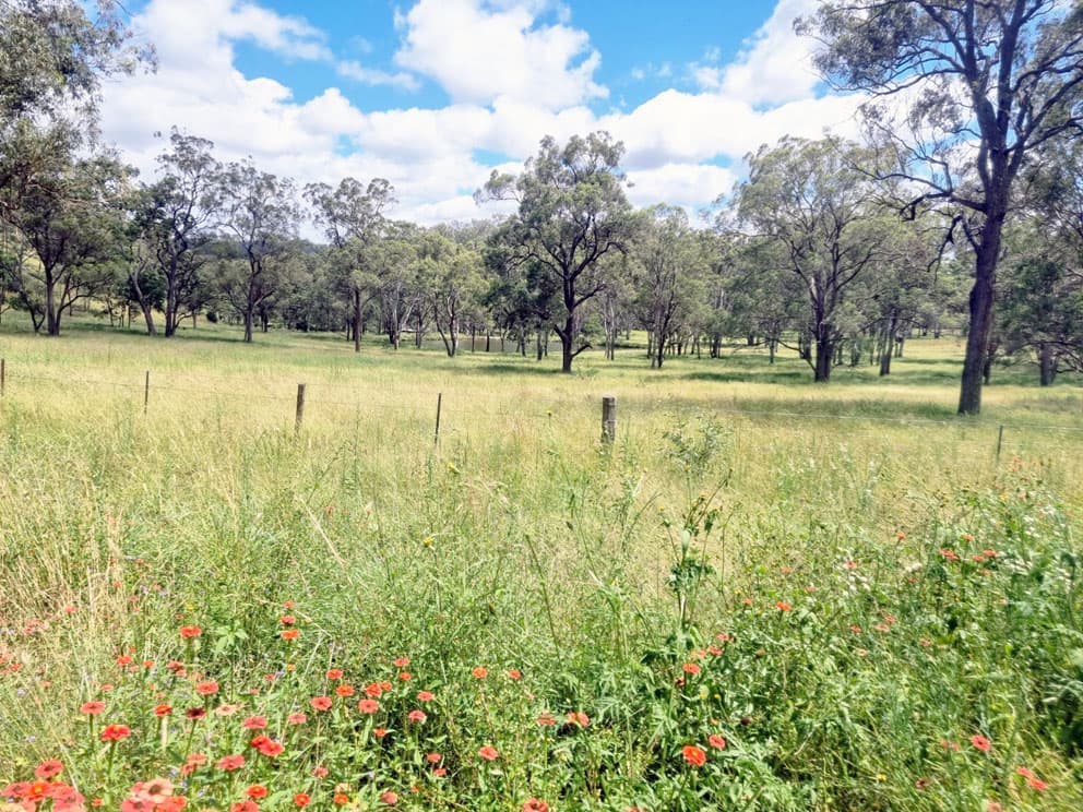 lot/116 Cronin Road, Cabarlah, QLD, 4352, Cabarlah - Thumbnail 4