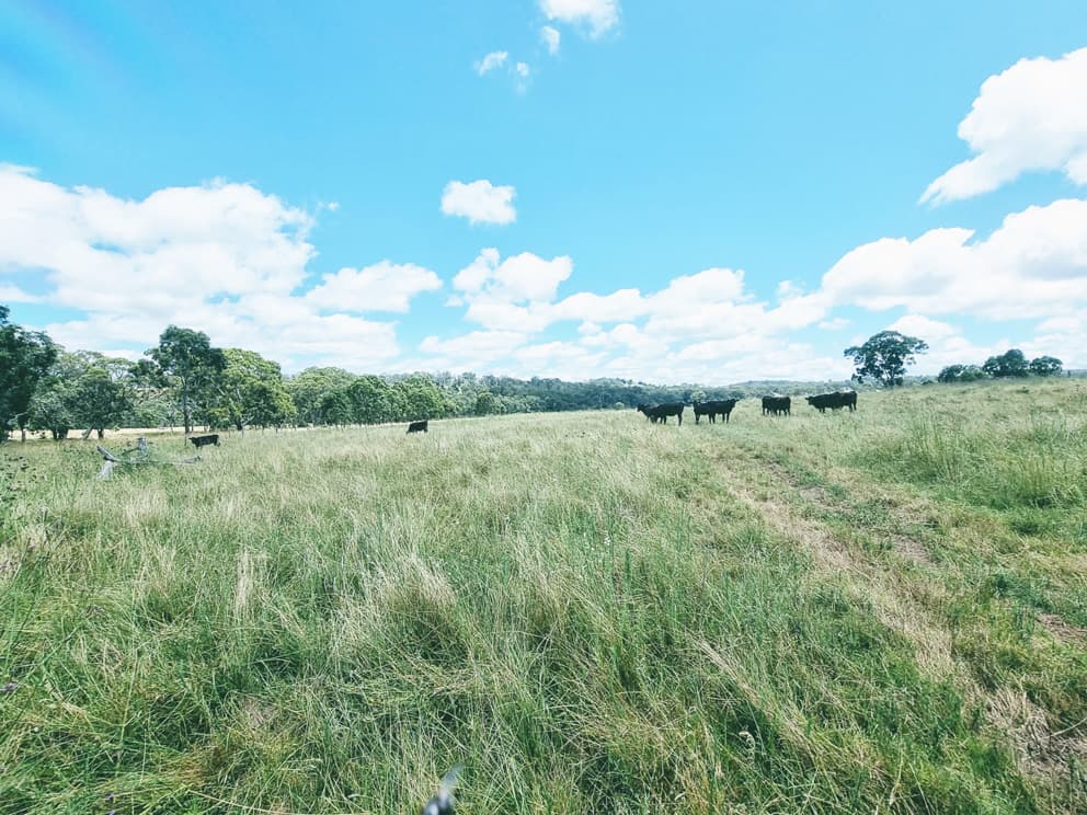 lot/116 Cronin Road, Cabarlah, QLD, 4352, Cabarlah - Thumbnail 5