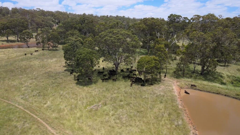 lot/116 Cronin Road, Cabarlah, QLD, 4352, Cabarlah - Thumbnail 8