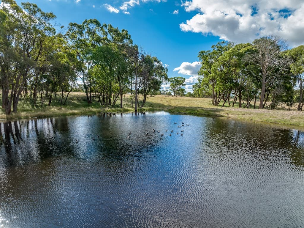 339 Scabben Flat Road, Taralga, NSW, 2580, Taralga - Thumbnail 2