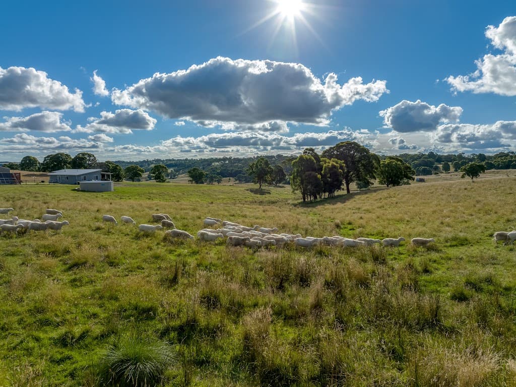 339 Scabben Flat Road, Taralga, NSW, 2580, Taralga - Thumbnail 3