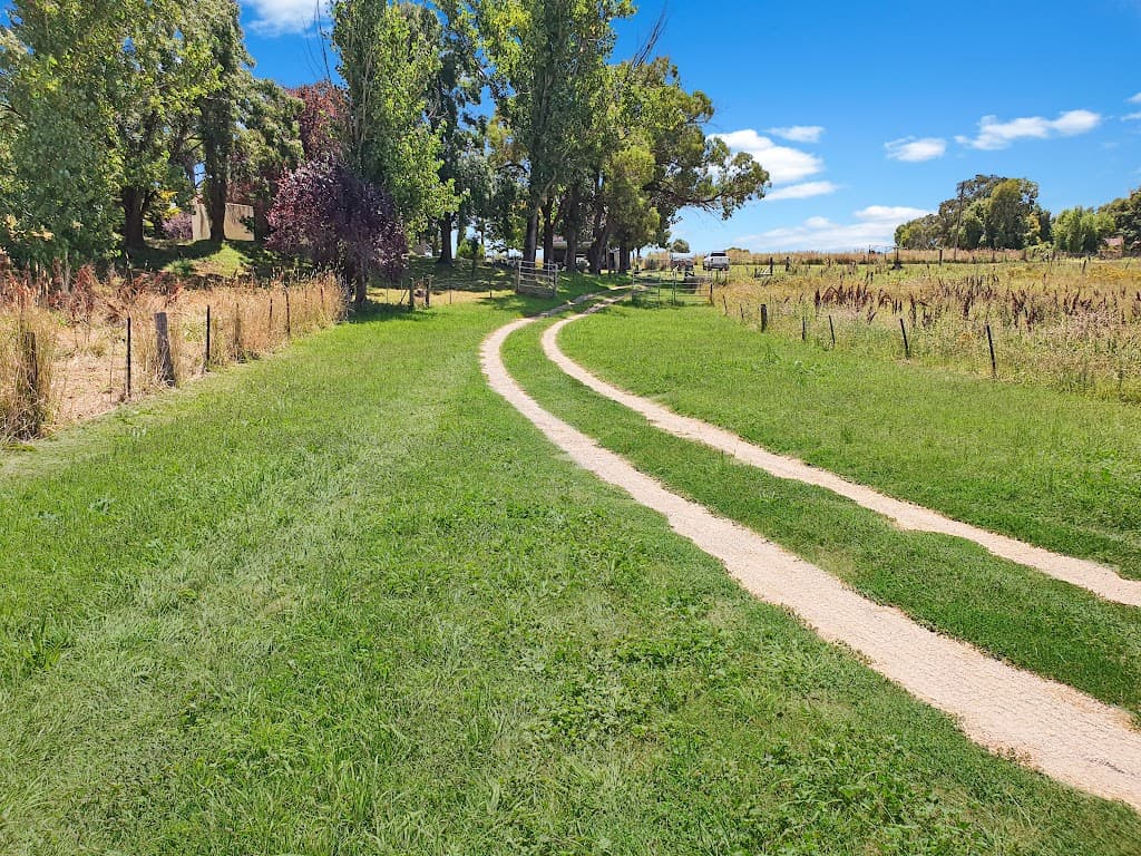 381 Eleven Mile Drive, Eglinton, NSW, 2795, Eglinton - Thumbnail 3