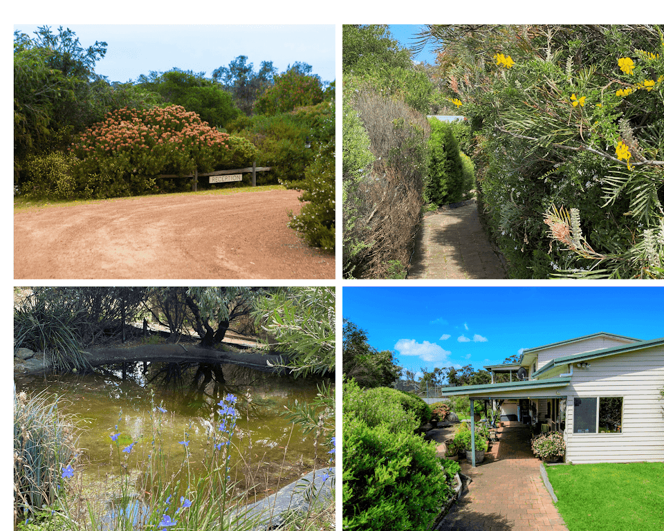 6845 South Coast Hwy, WALPOLE, WA, 6398, Walpole - Thumbnail 7