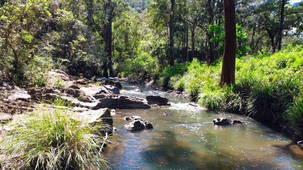 571 Bagnoo Road, Byabarra, NSW, 2446, Byabarra - Image 1