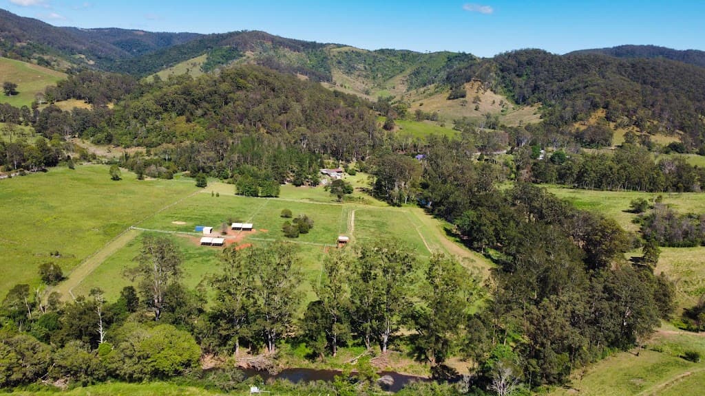 571 Bagnoo Road, Byabarra, NSW, 2446, Byabarra - Thumbnail 3