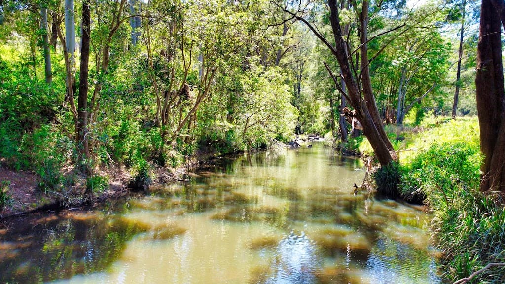 571 Bagnoo Road, Byabarra, NSW, 2446, Byabarra - Thumbnail 6