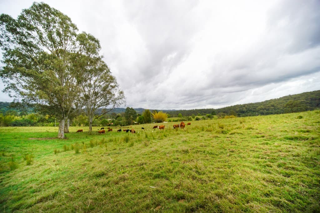 42 Kiamba Road, Kiamba, QLD, 4560, Kiamba - Image 1