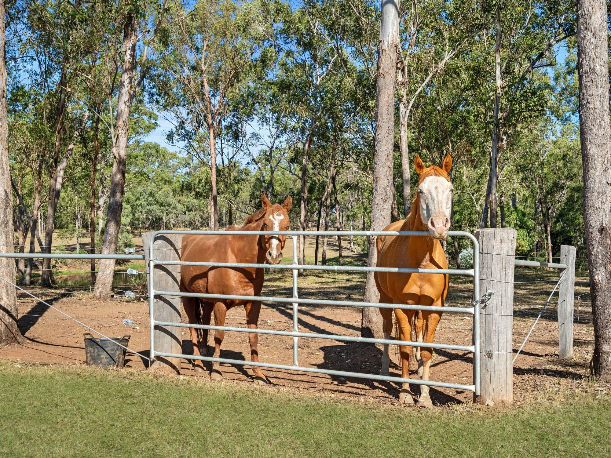55 Norfolk Road, Summerholm QLD 4341, Summerholm - Thumbnail 5