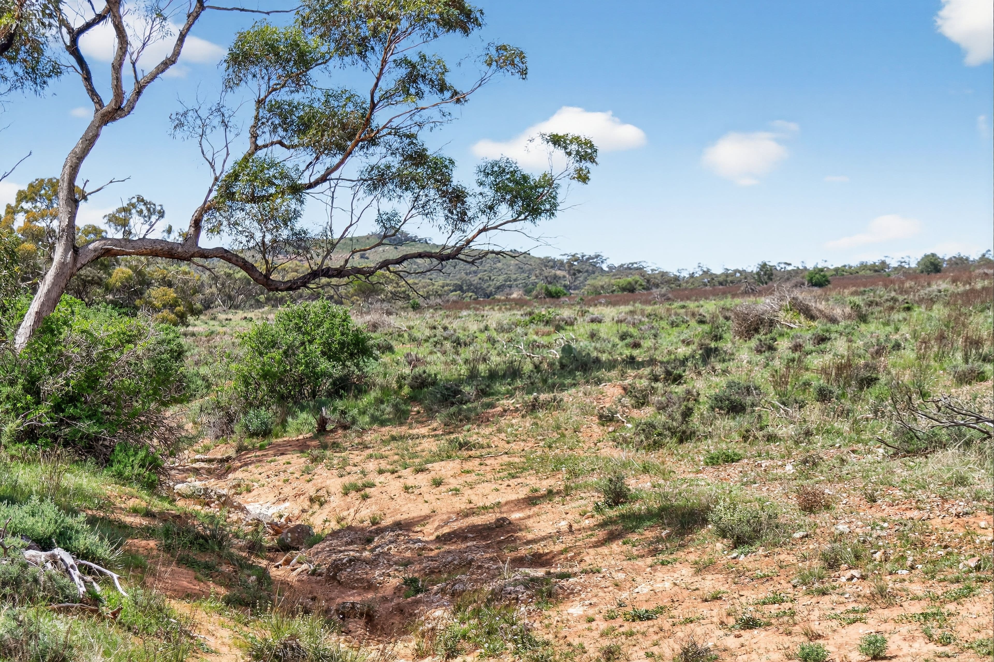 'Ferguson' Philps Road, Minvalara SA 5422, Minvalara - Image 1