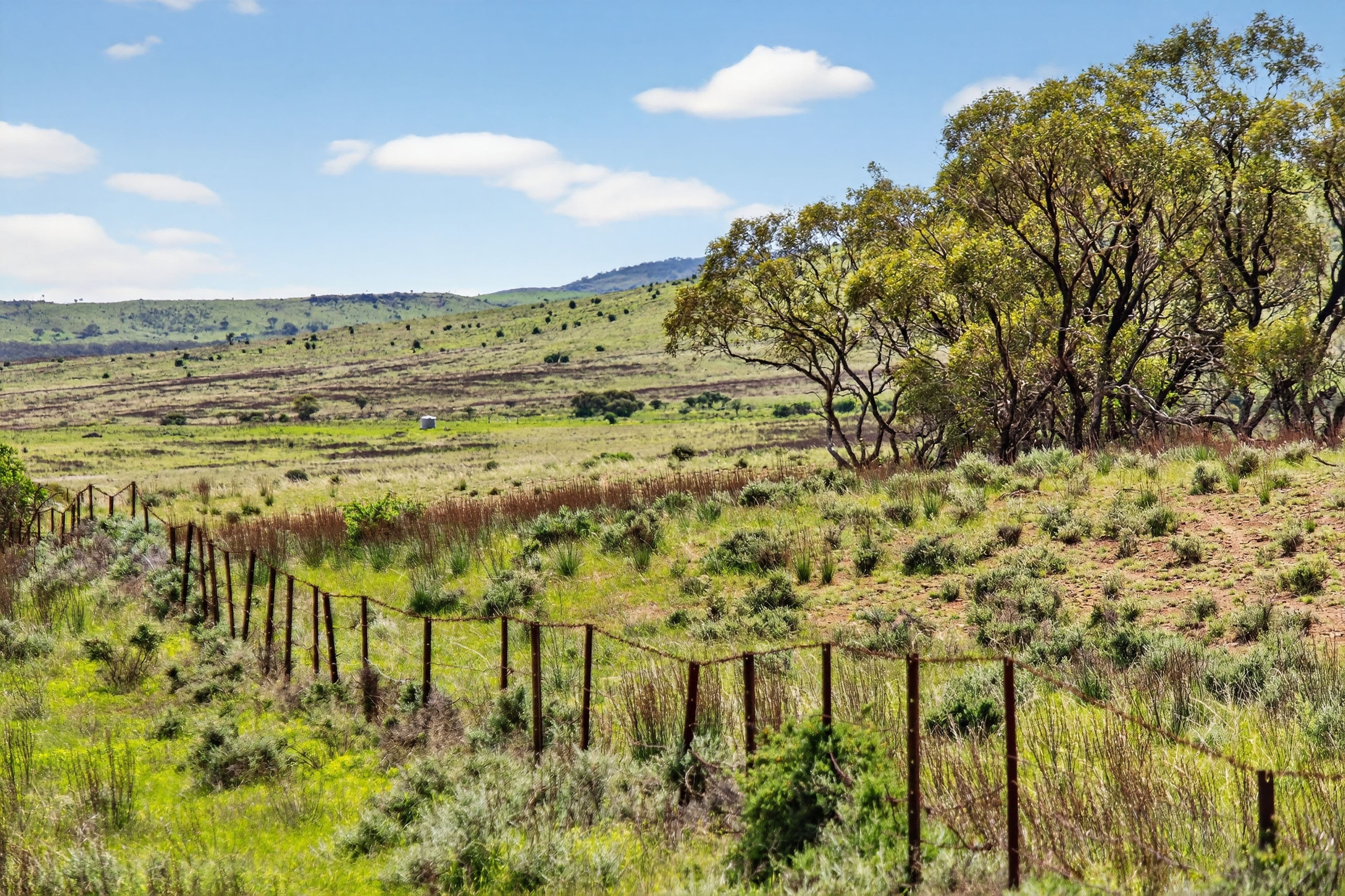 'Ferguson' Philps Road, Minvalara SA 5422, Minvalara - Thumbnail 6
