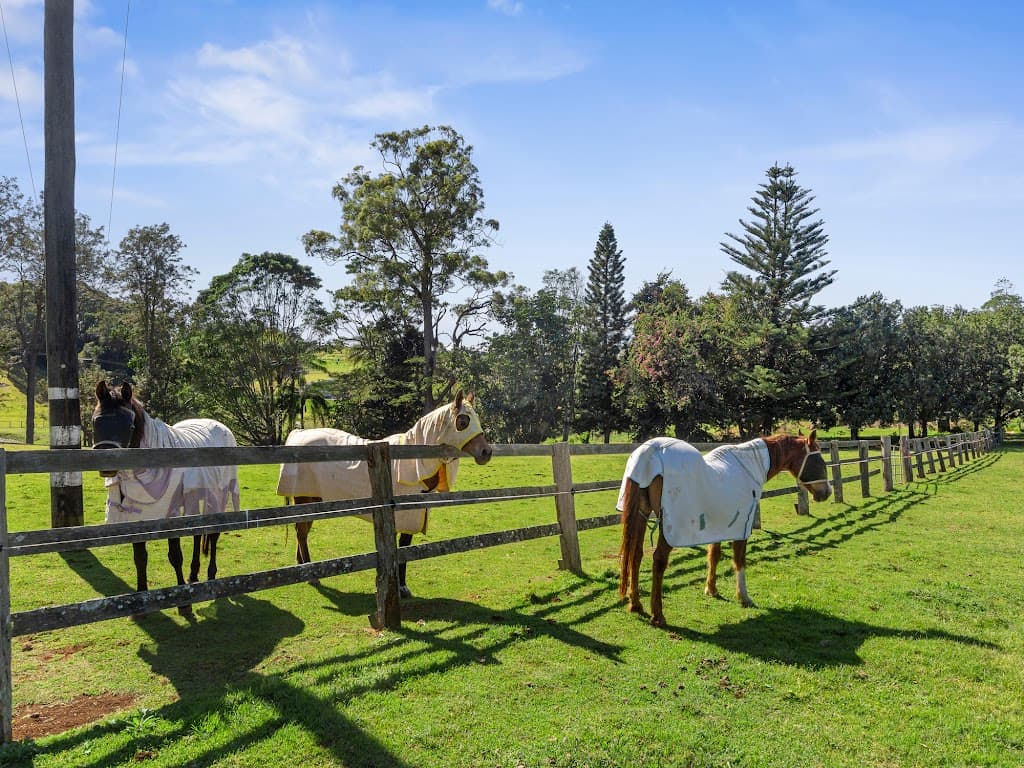 205 Upper Duroby Creek Road, Upper Duroby, NSW, 2486, Upper Duroby - Thumbnail 2