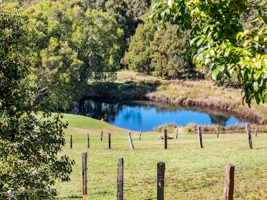 205 Upper Duroby Creek Road, Upper Duroby, NSW, 2486, Upper Duroby - Thumbnail 4