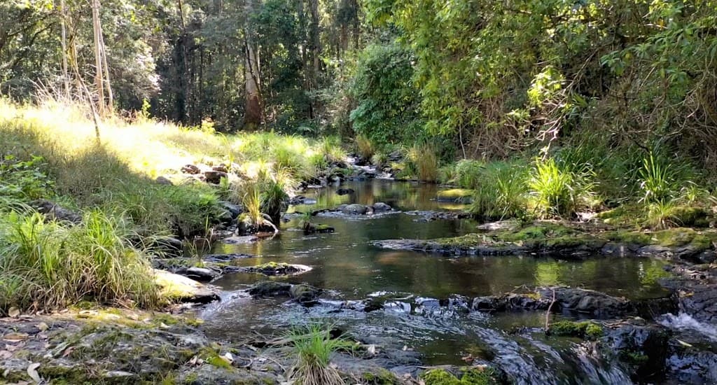 27 Smiths Creek Road, Smiths Creek, NSW, 2474, Smiths Creek - Image 1
