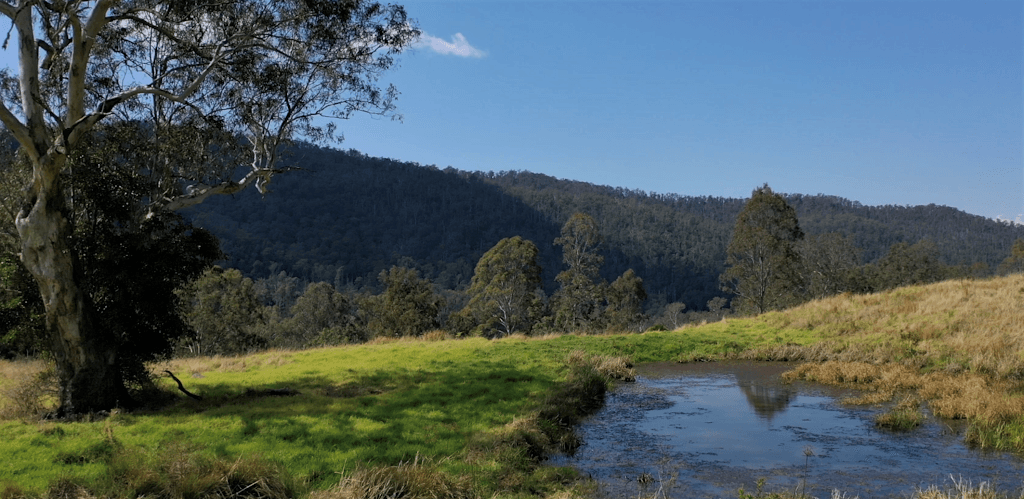27 Smiths Creek Road, Smiths Creek, NSW, 2474, Smiths Creek - Thumbnail 2