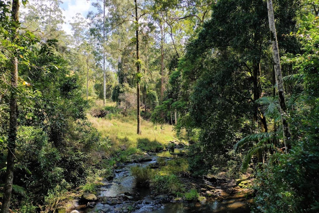 27 Smiths Creek Road, Smiths Creek, NSW, 2474, Smiths Creek - Thumbnail 7