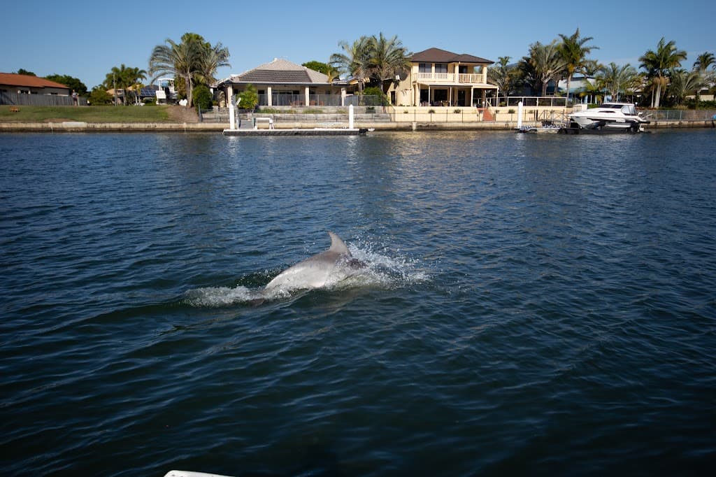 100 Endeavour Drive, Banksia Beach, QLD, 4507, Banksia Beach - Thumbnail 4