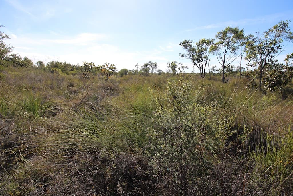 36-252 Burrum Heads Road, Burrum Heads, QLD, 4659, Burrum Heads - Thumbnail 2