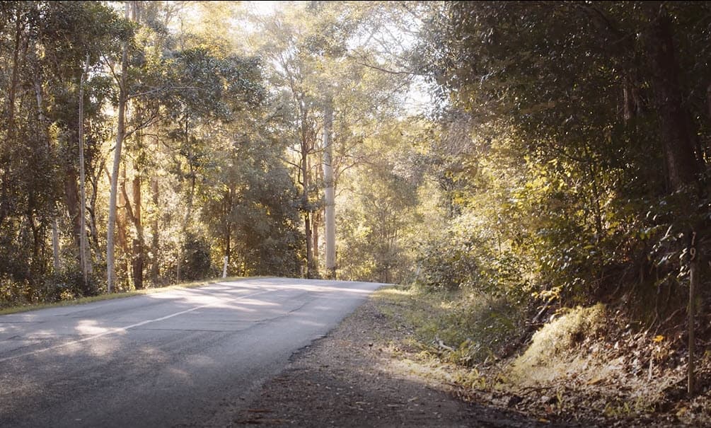 79 Austinville Road, Austinville, QLD, 4213, Austinville - Thumbnail 5