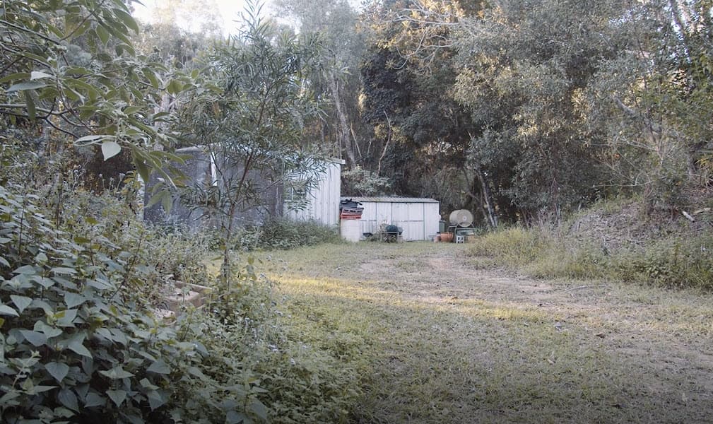 79 Austinville Road, Austinville, QLD, 4213, Austinville - Thumbnail 7