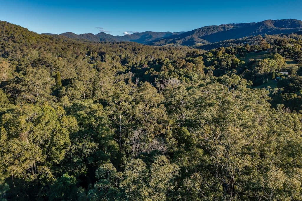 79 Austinville Road, Austinville, QLD, 4213, Austinville - Thumbnail 8