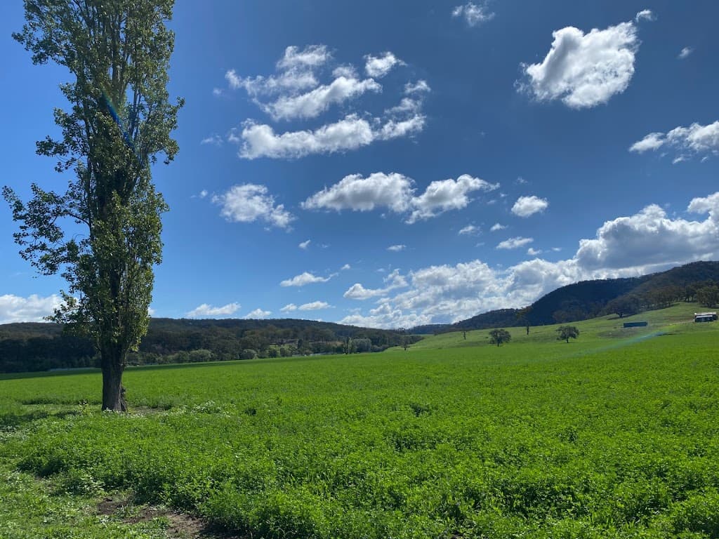293 Fisher Road, Bungonia - Thumbnail 3