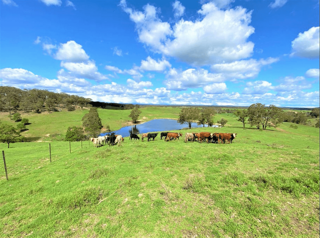 293 Fisher Road, Bungonia - Thumbnail 4