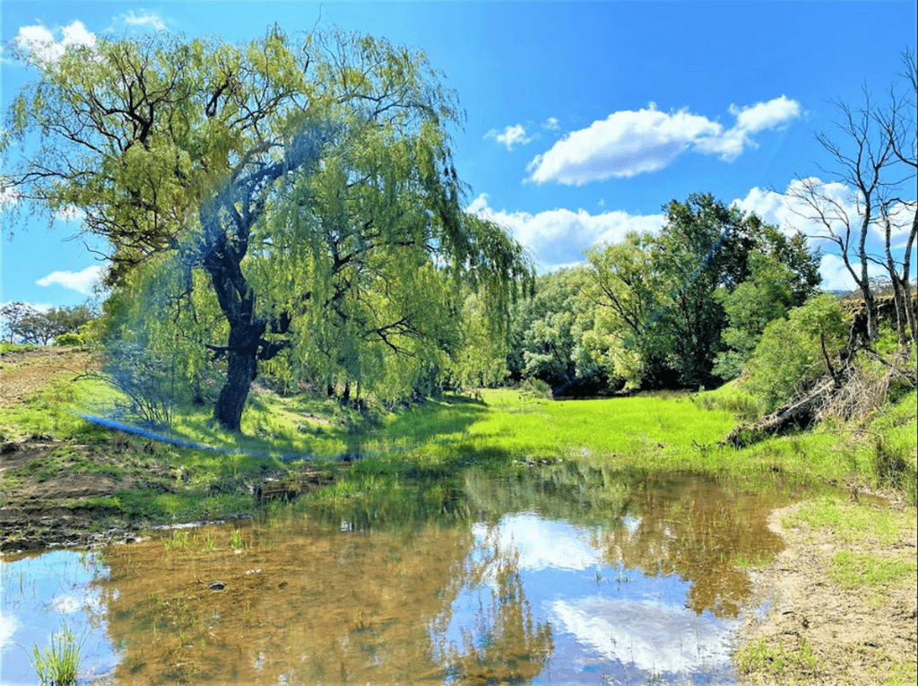 293 Fisher Road, Bungonia - Thumbnail 5
