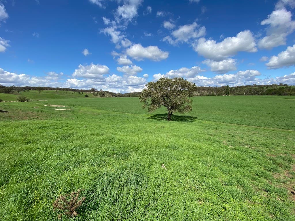 293 Fisher Road, Bungonia - Thumbnail 6