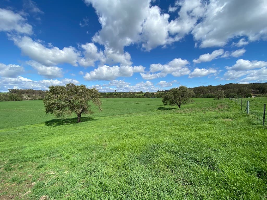 293 Fisher Road, Bungonia - Thumbnail 8