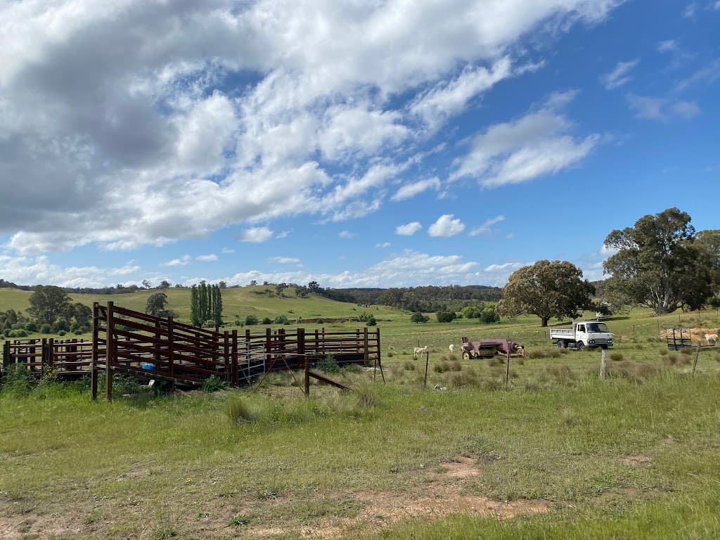633 The Lookdown Road, Bungonia, NSW, 2580, Bungonia - Thumbnail 5