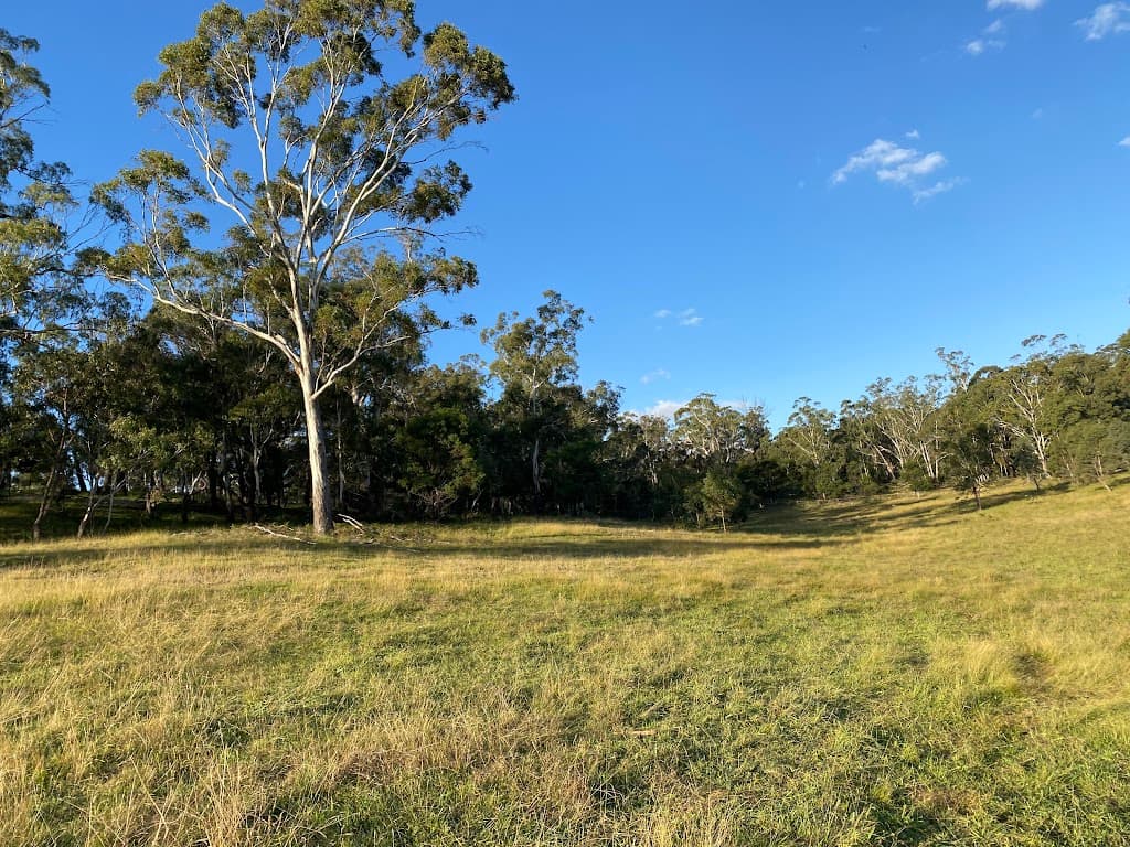 4856 Oallen Ford Road, Bungonia, NSW, 2580, Bungonia - Thumbnail 6