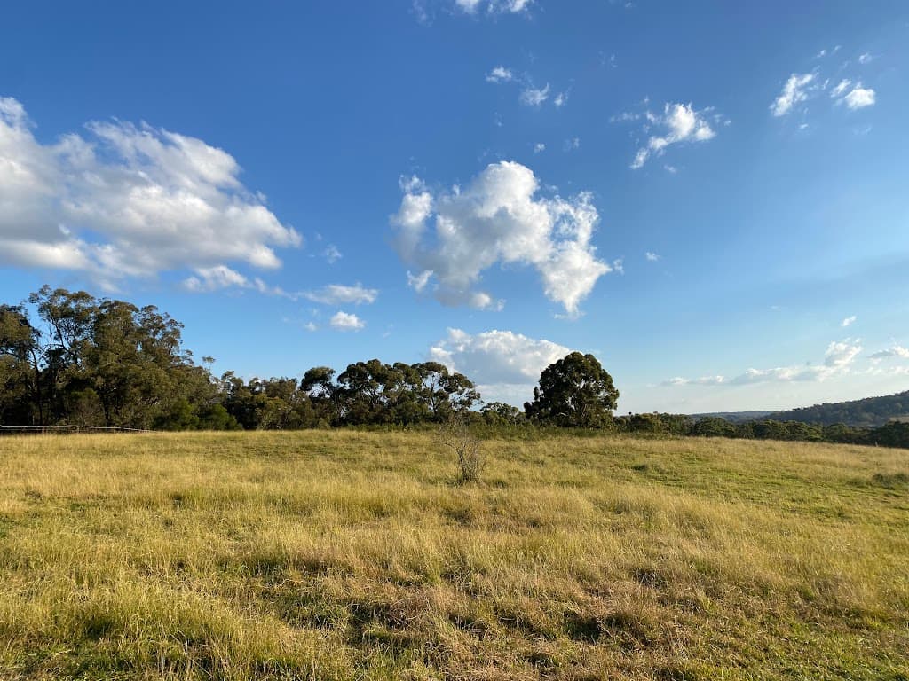 4856 Oallen Ford Road, Bungonia, NSW, 2580, Bungonia - Thumbnail 7