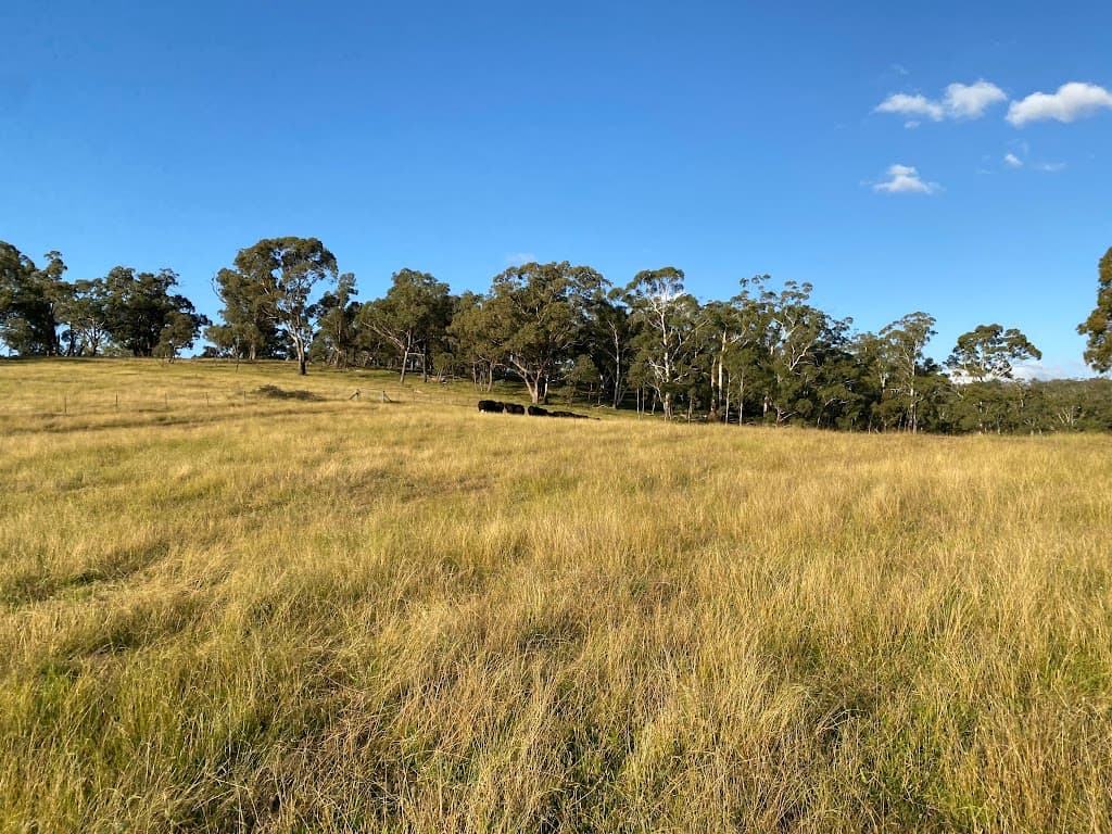 4856 Oallen Ford Road, Bungonia, NSW, 2580, Bungonia - Thumbnail 8