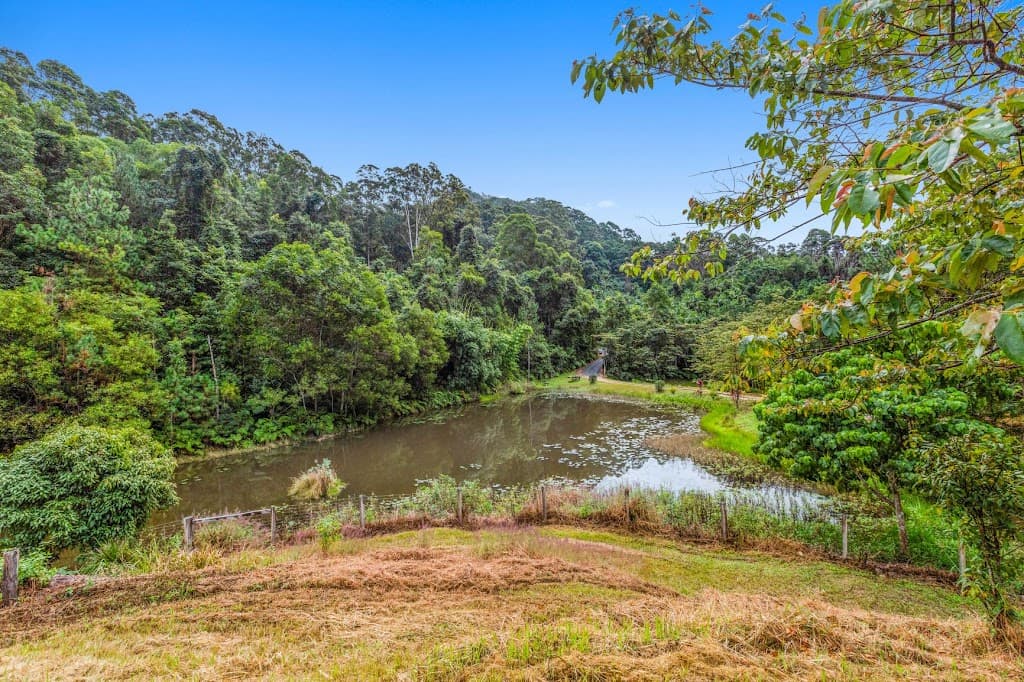 387 Smarts Road, Wardrop Valley, NSW, 2484, Wardrop Valley - Thumbnail 5