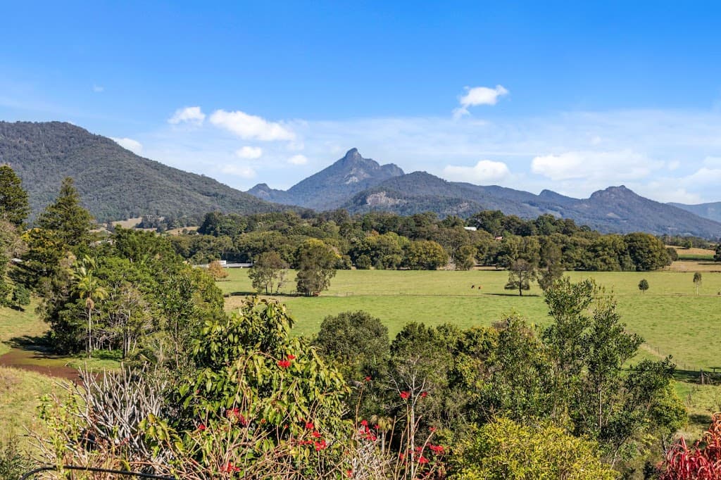 11 Mistral Road, South Murwillumbah, NSW, 2484, South Murwillumbah - Thumbnail 2