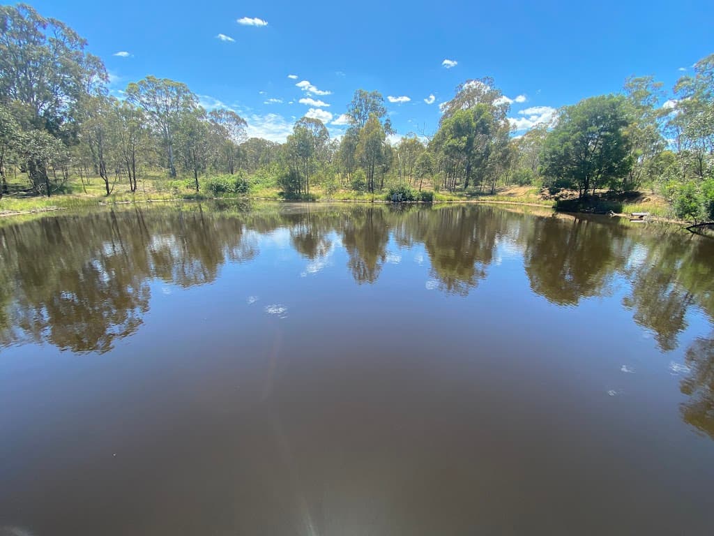 887 Jerrara Road, Marulan, NSW, 2579, Marulan - Thumbnail 2