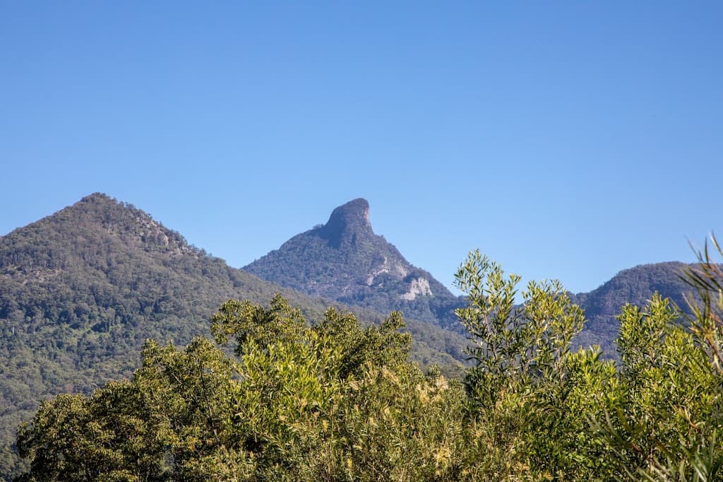 55 Braeside Drive, Uki, NSW, 2484, Uki - Thumbnail 4