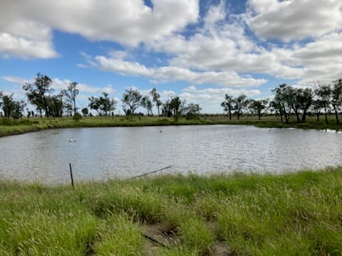 Nine Mile Alpha Tambo Road, Alpha, QLD, 4724, Alpha - Thumbnail 4