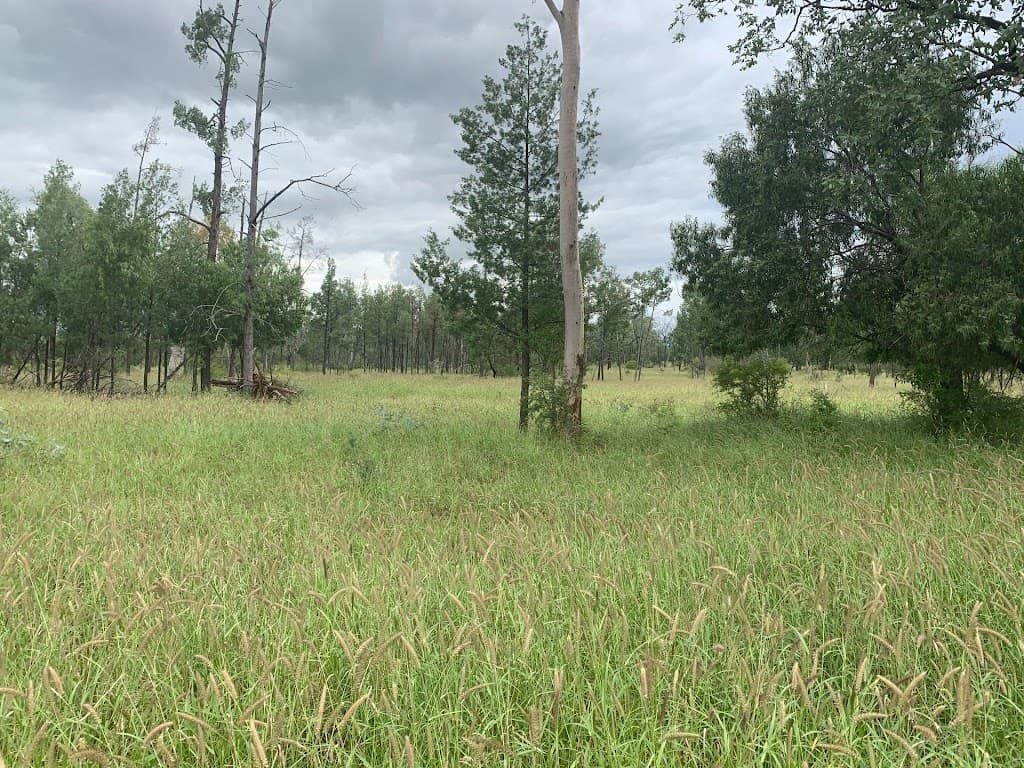 Nine Mile Alpha Tambo Road, Alpha, QLD, 4724, Alpha - Thumbnail 5